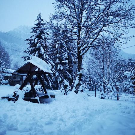 Cabana Valea Rea, Boga Boga  Екстер'єр фото