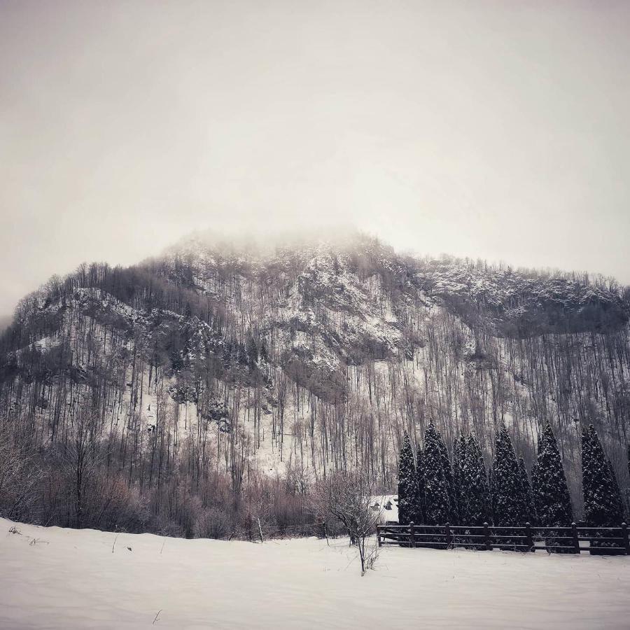 Cabana Valea Rea, Boga Boga  Екстер'єр фото